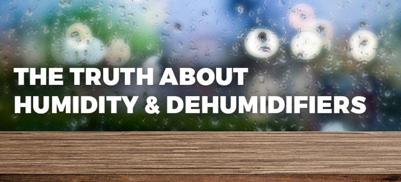 the truth about humidity and dehumidifiers